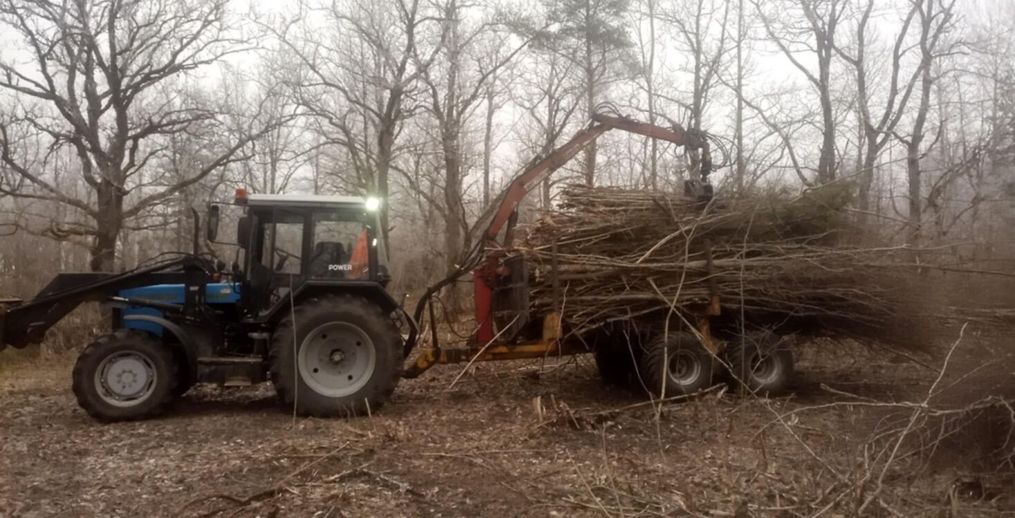 [Pilt: 128156472.jpg]