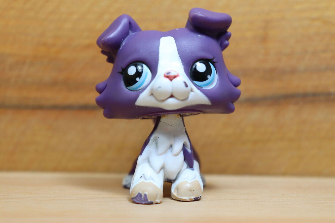 Littlest Pet Shop/LPS Collie 1676 (137685531)