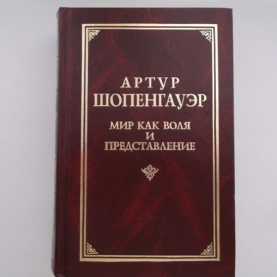 Мир как воля и представление артур шопенгауэр презентация