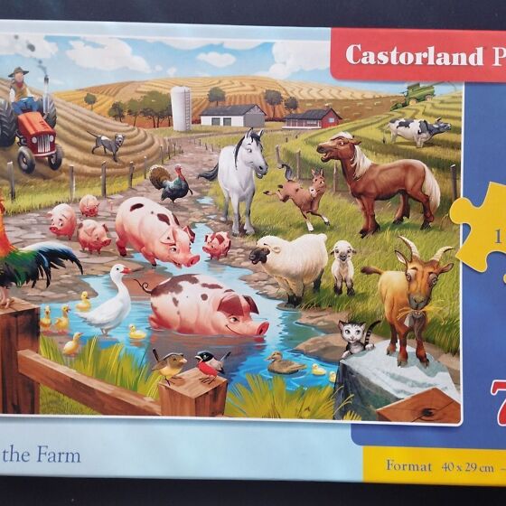 Puzzle 70 stuk (199583946) Osta.ee