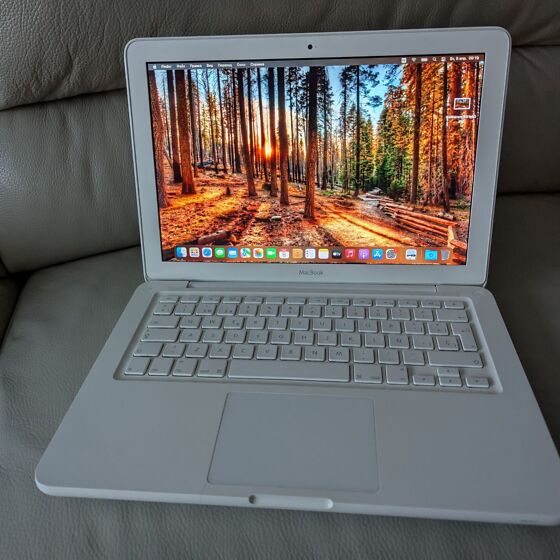 Apple Macbook 13 Mid 2010 Polycarbonate (236018643)