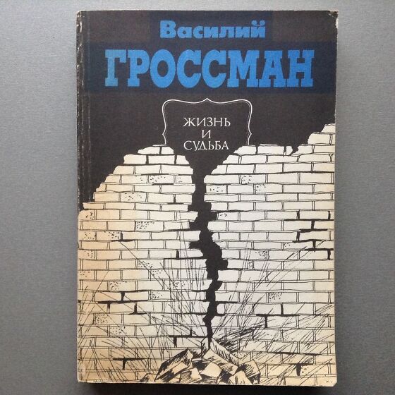 Книга жизнь и судьба гроссман. Василий Гроссман «жизнь и судьба» (1959).. Гроссман в. 