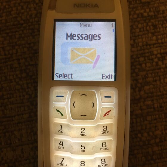 Nokia 3100 (192231239) - Osta.ee