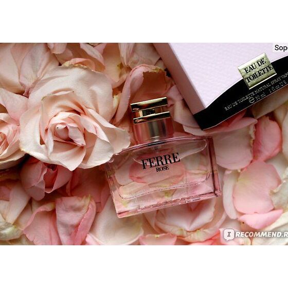 Perfume Profumo Gianfranco Ferre Rose Gianfranco Ferre Perfume On Sale