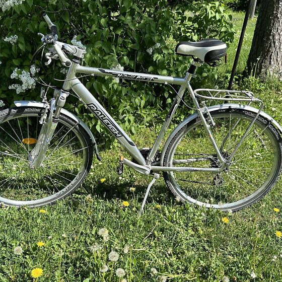 Raleigh hybrid pro xt 213587012 Osta.ee