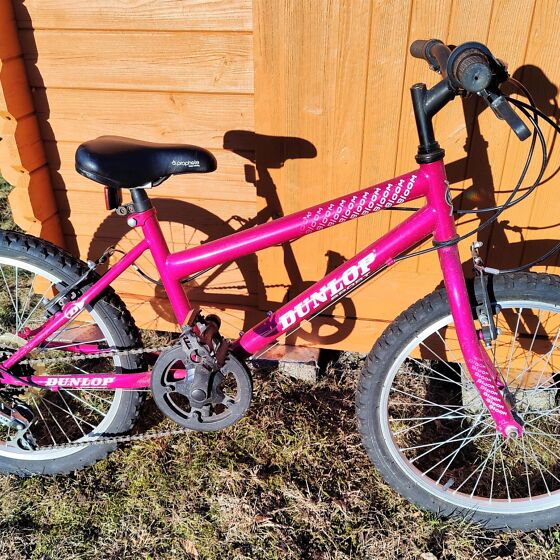 dunlop bloom bike