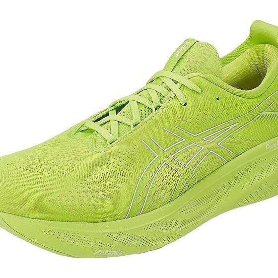 Asics 2024 nimbus ee