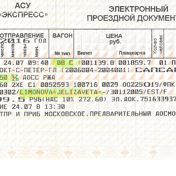 Белорусская железная дорога билеты. ЖД билеты на Сапсан. Электронный проездной билет. Где указывается номер билета на поезд. Где в билете указан номер вагона.