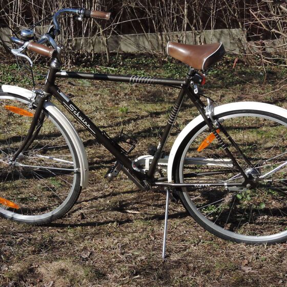 Schwinn coffee online