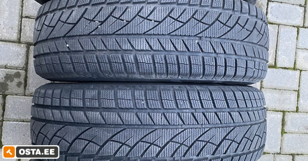 Lamellrehv 4 tk ROADX RX FROST WU01 225/65 R17 (203511757) - Osta.ee