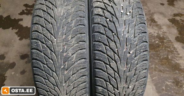 Talverehvid Nokian Hakkapeliitta R2 205/55 R16 4tk (203282687) - Osta.ee