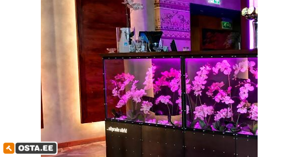 Puit dekoratiivne seinapaneel 804,3x220cm (240431130) - Osta.ee