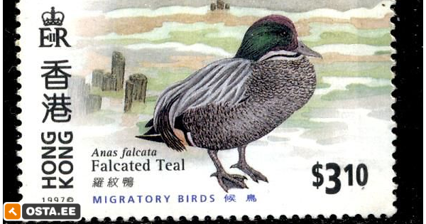 Bird code. Bird code