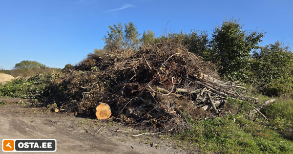 Raiejääk (240091064) - Osta.ee