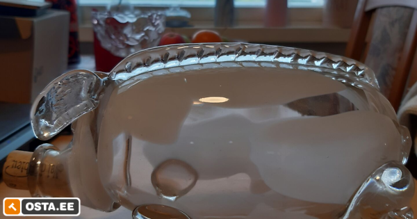 Tarbeklaasi viinasiga (191215219) - Osta.ee