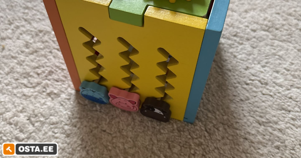 Motoorika loogika puidust kast lapsele (241722341) - Osta.ee