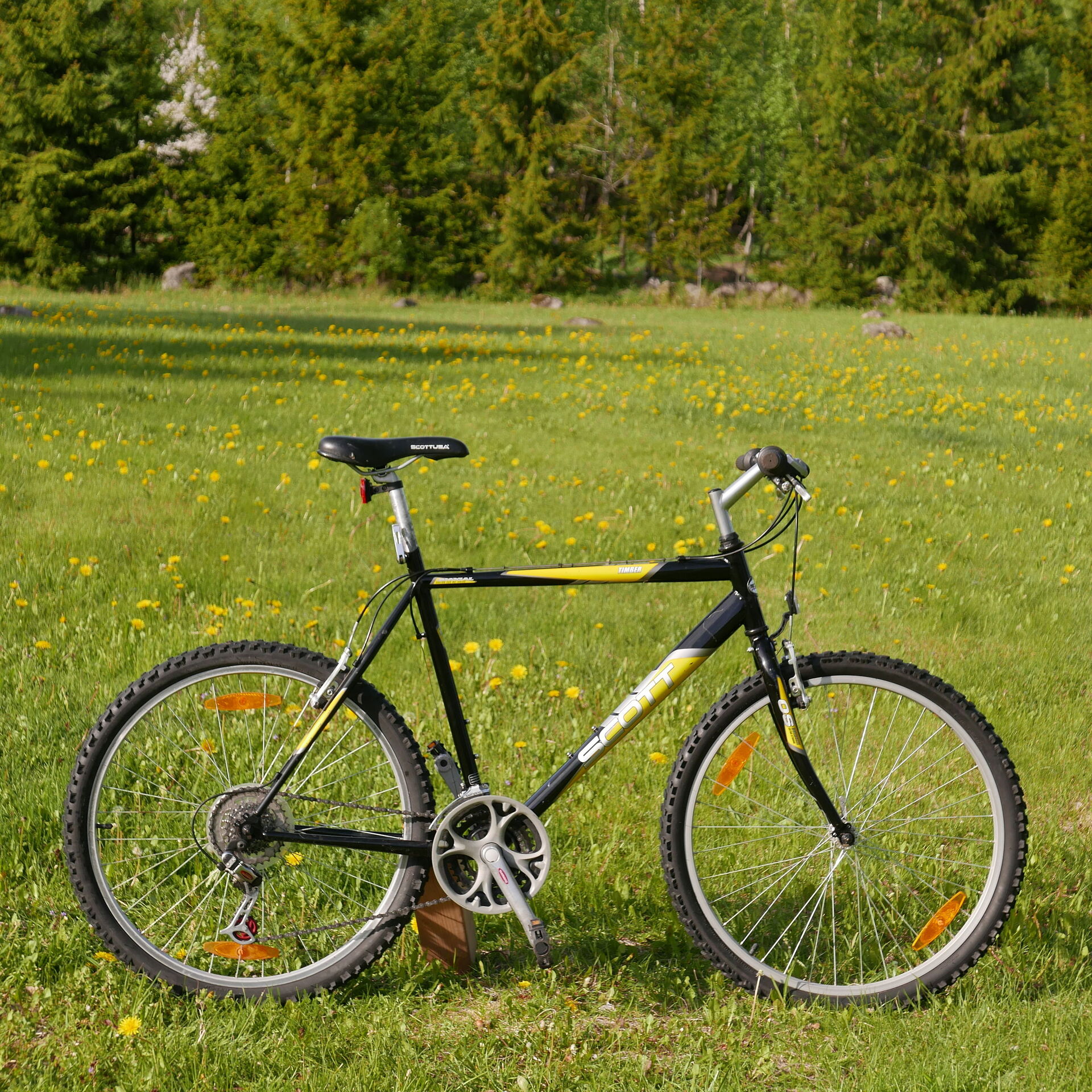 Scott timber online bike